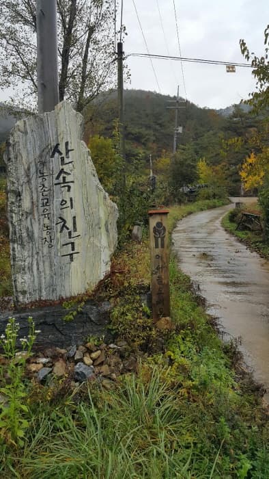 산속의친구_외부1