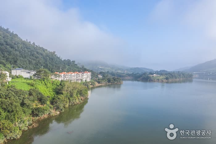 전북_정읍_옥정호(물안개길)03