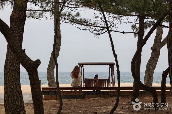 속초해수욕장 9