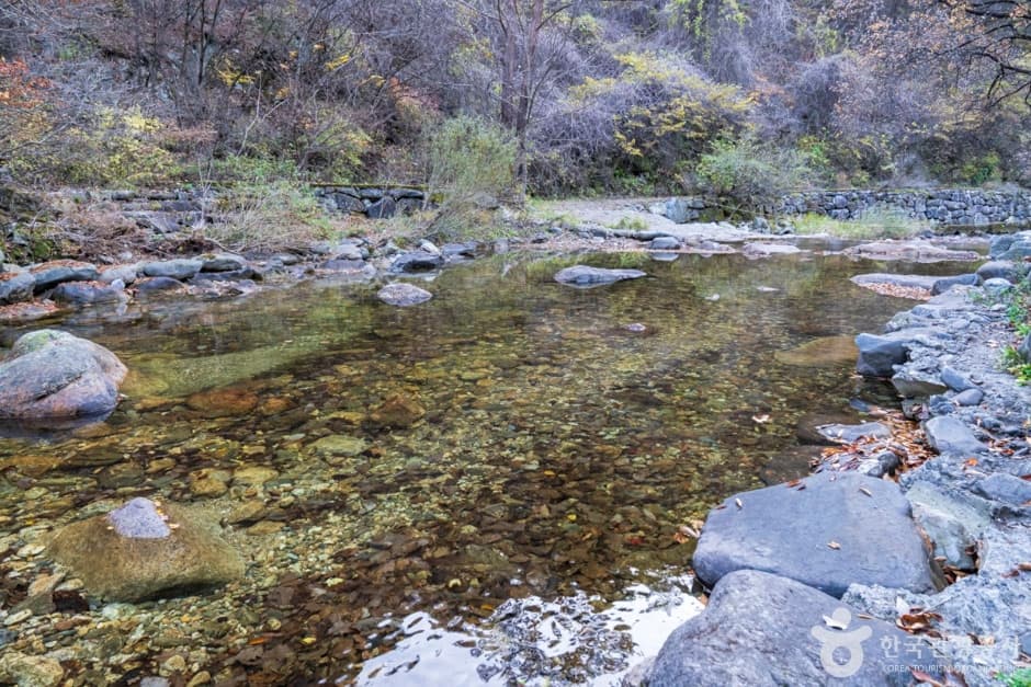남천계곡 (13)