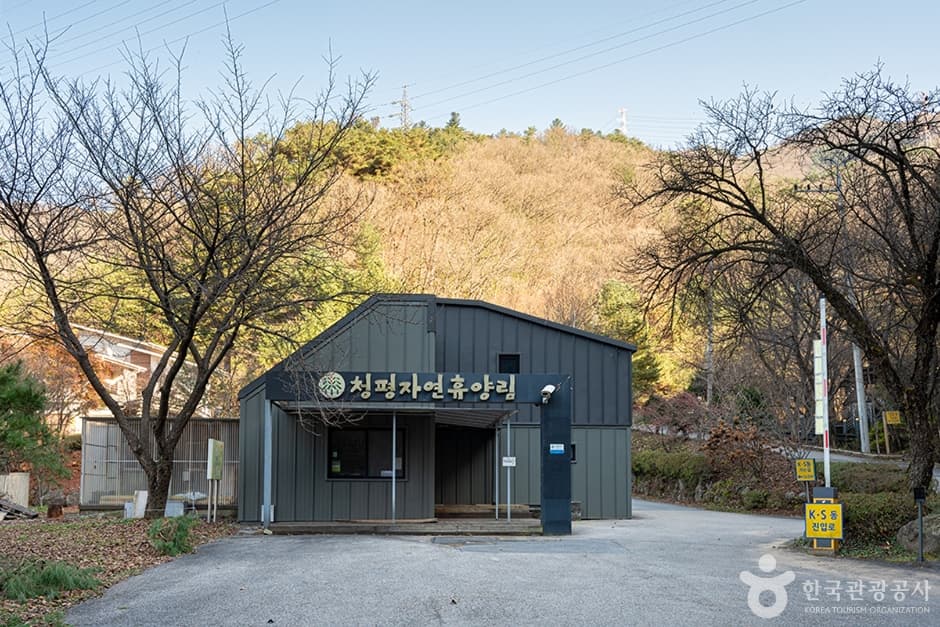 청평자연휴양림 (2)