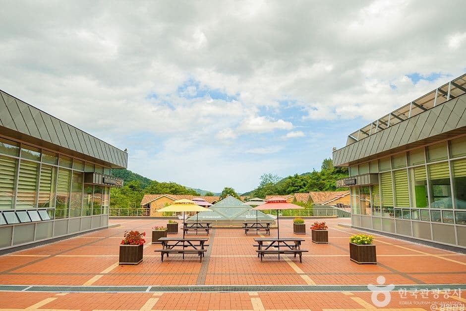 동해무릉건강숲 (3)