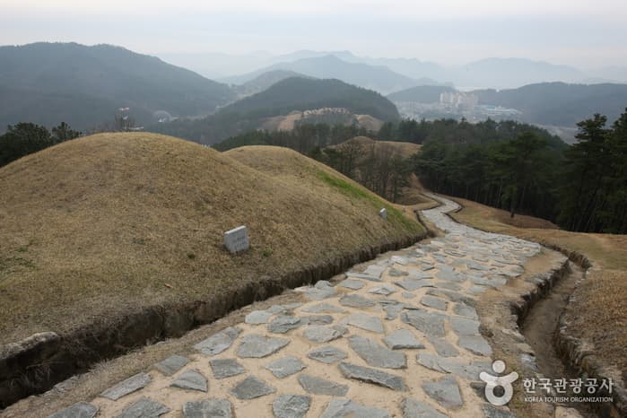 지산동고분군_24