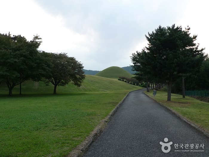 경주 신라무열왕릉 (1)