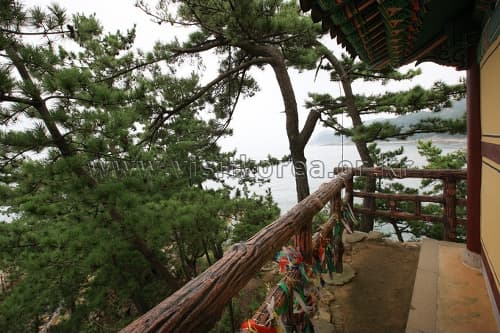 강원도_삼척시_삼척 해신당공원_018