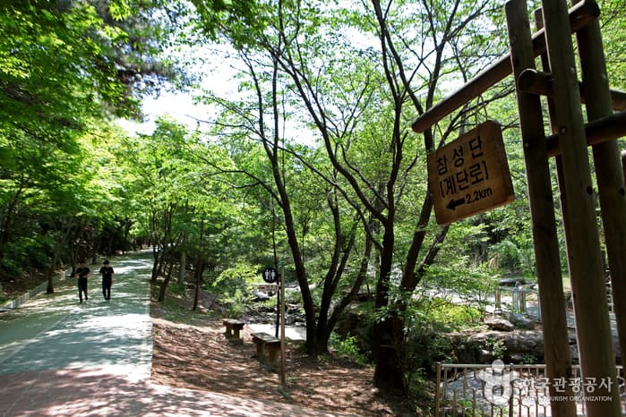 강화도_마니산03