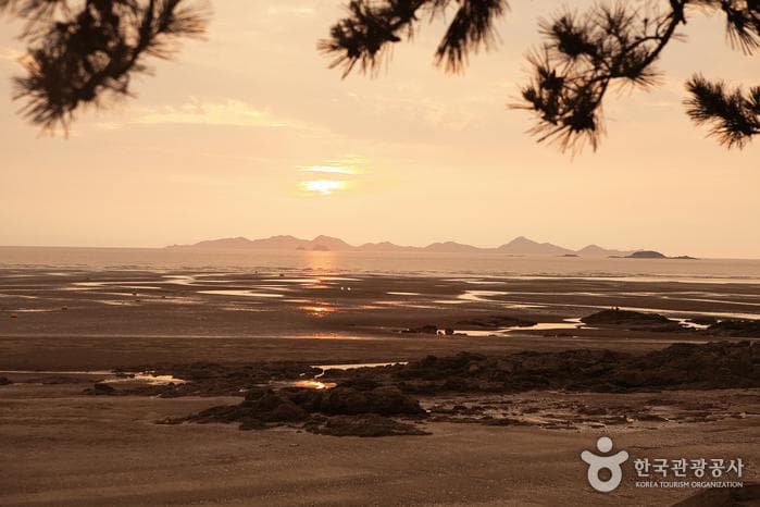 전북_고창_가족여행에 최적화된 여름 휴가지, 고창 동호해수욕장 12