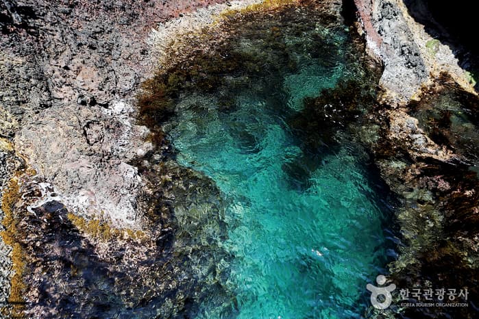 청사초롱_한국관광 100선_그 섬에 가고 싶다_05울릉도