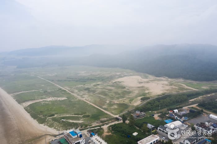 태안 신두리 해안사구