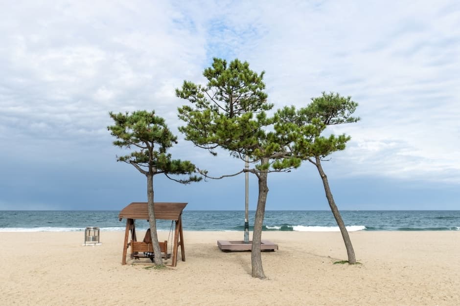 낙산해수욕장_5