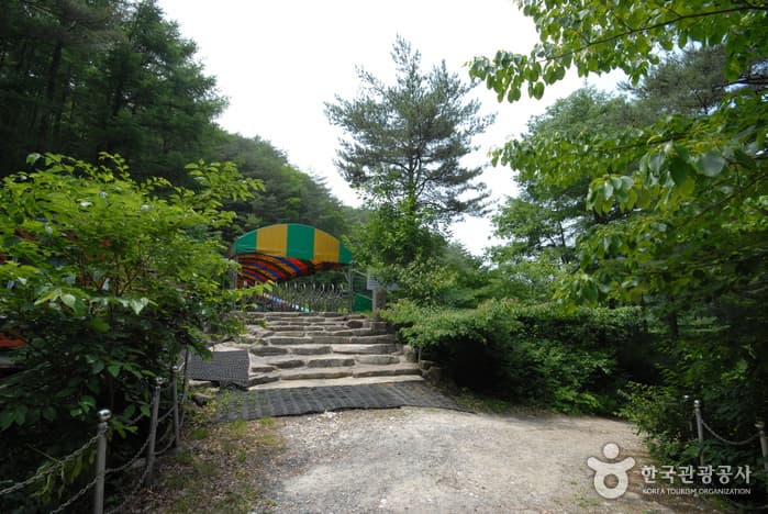 조령산자연휴양림_08