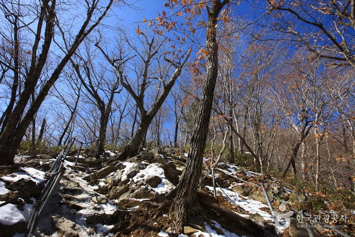 백련사~덕유산 향적봉 등산로_13