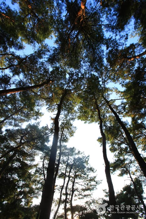 전라북도_정읍시_충렬사(정읍)_044