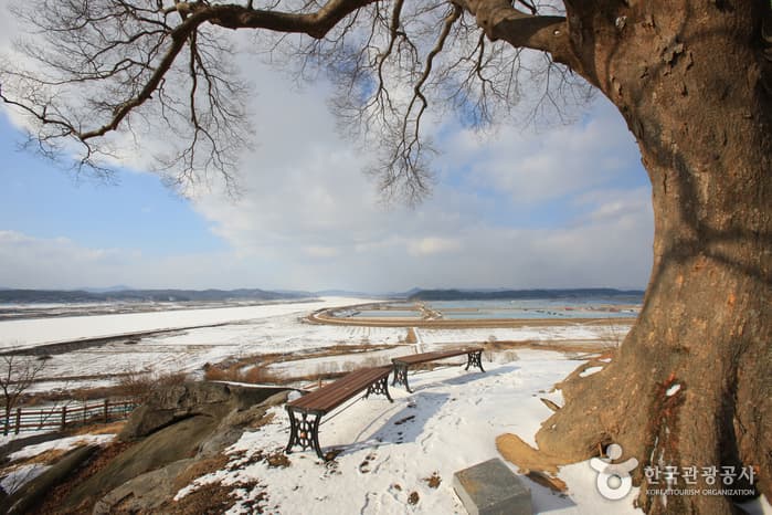 충청남도_논산시_옥녀봉_034