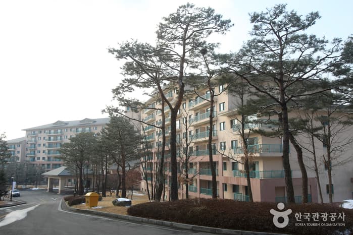 강원 원주시_한솔오크밸리_전경_1