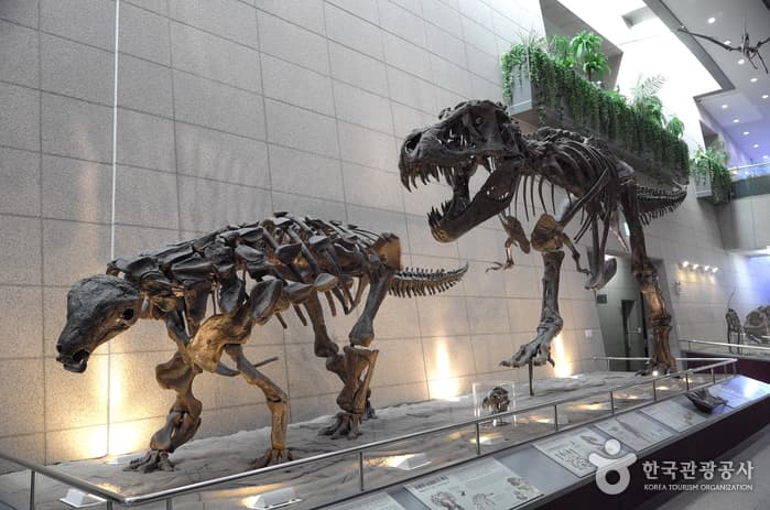 진주, 고흥, 대전 운석 여행지15