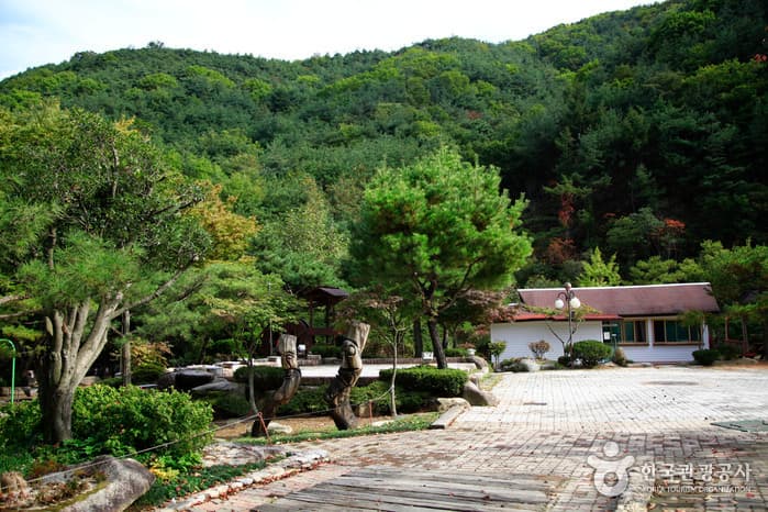 Gunbulo Bisl Resort Tourism Farm (비슬리조트관광농원 군불로)