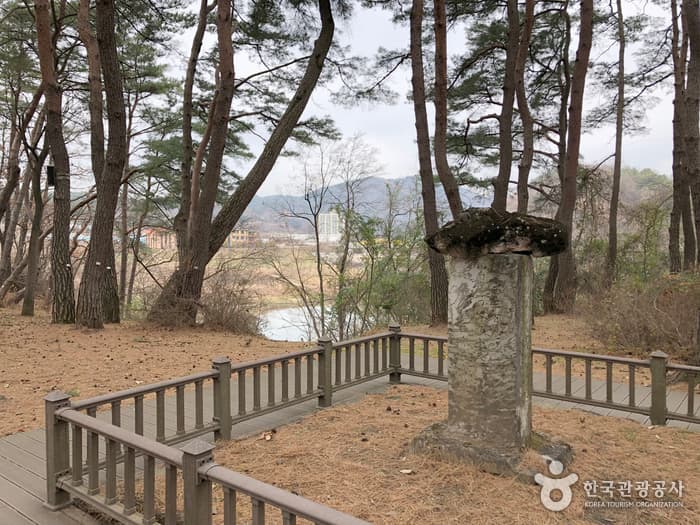 강원_영월_청령포14