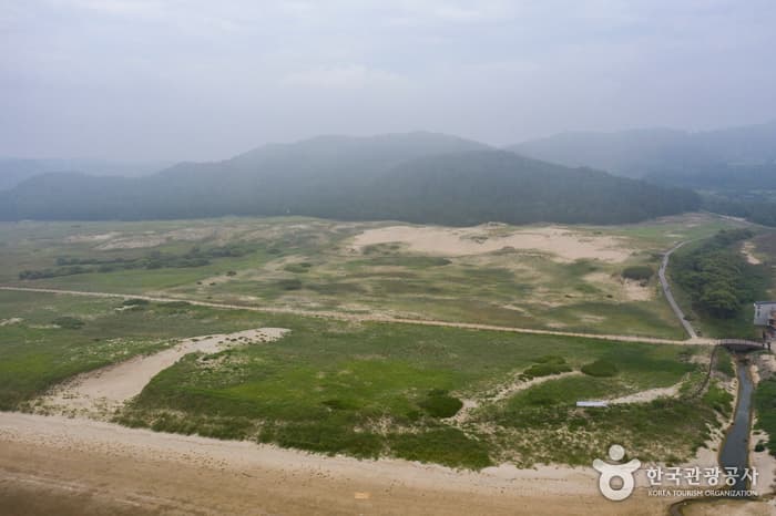 태안 신두리 해안사구