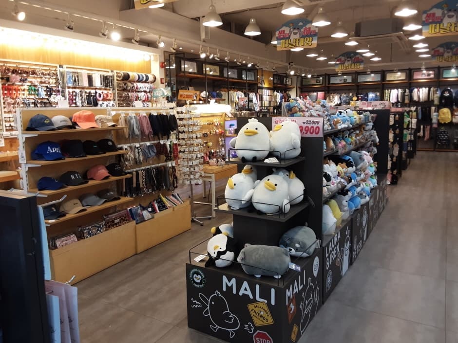 아트박스 둔산_2