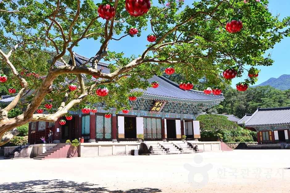 조계산도립공원 (16)