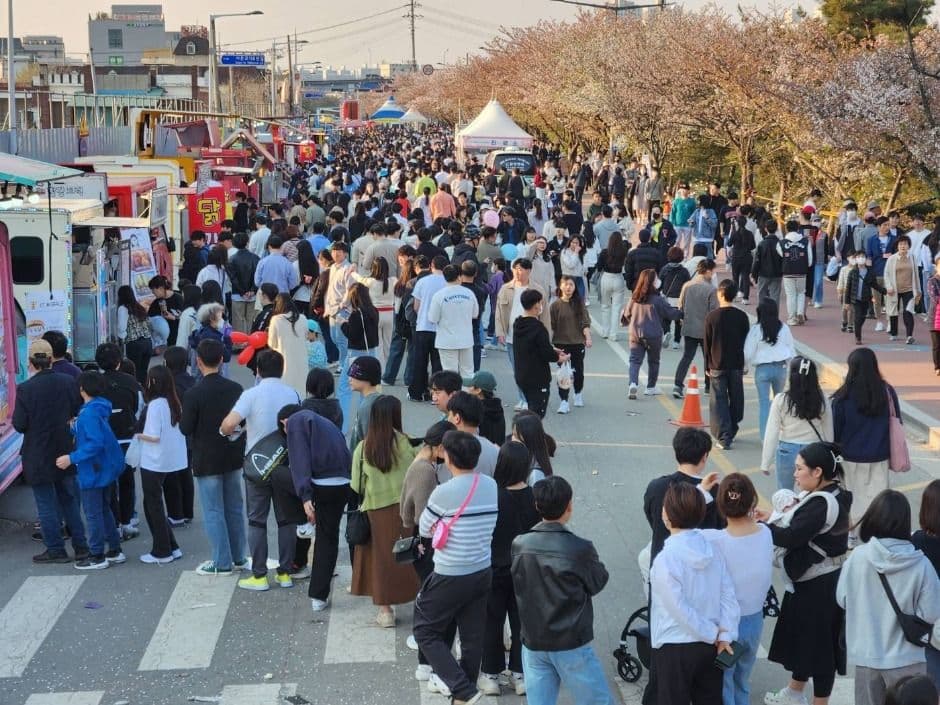 2025 벚꽃과 함께하는 청주 푸드트럭 축제 2