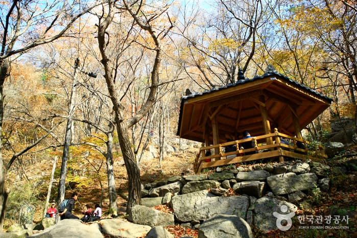 팔공산도립공원(등산로)_3