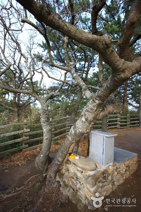 수성당_10