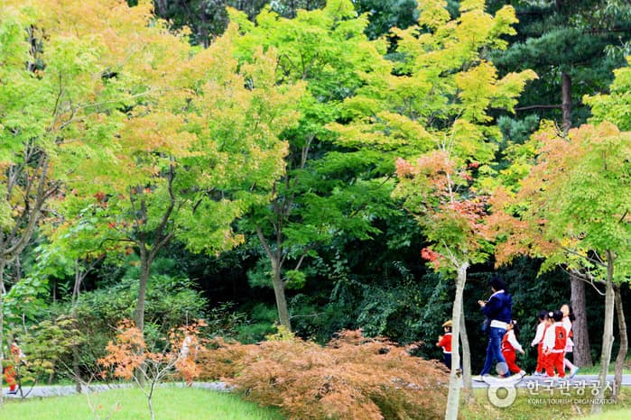 물향기수목원24