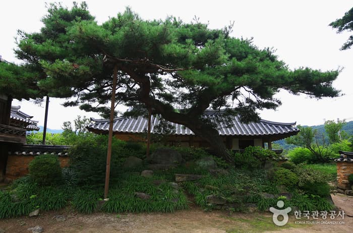 개평마을14