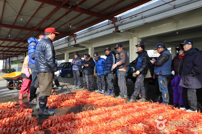 1303경북_영덕_대게10