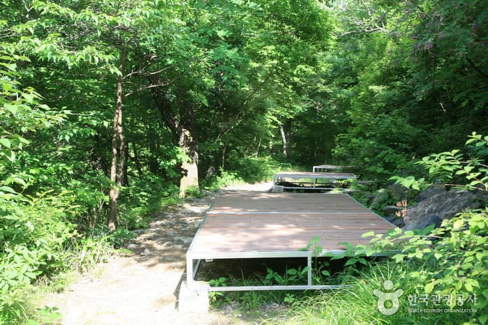 운장산 자연휴양림_01