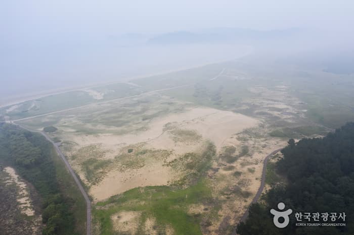 태안 신두리 해안사구