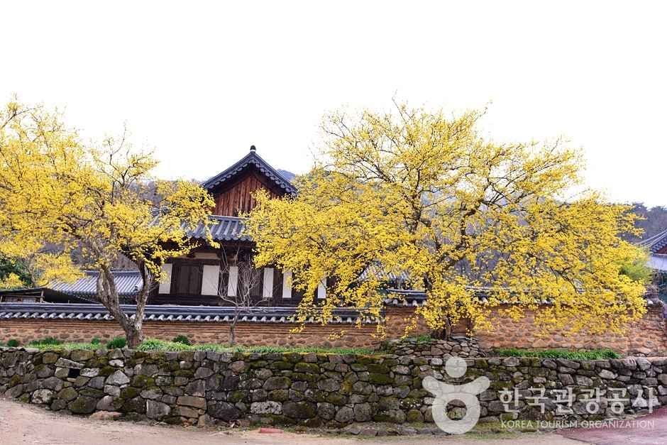 조계산도립공원 (17)