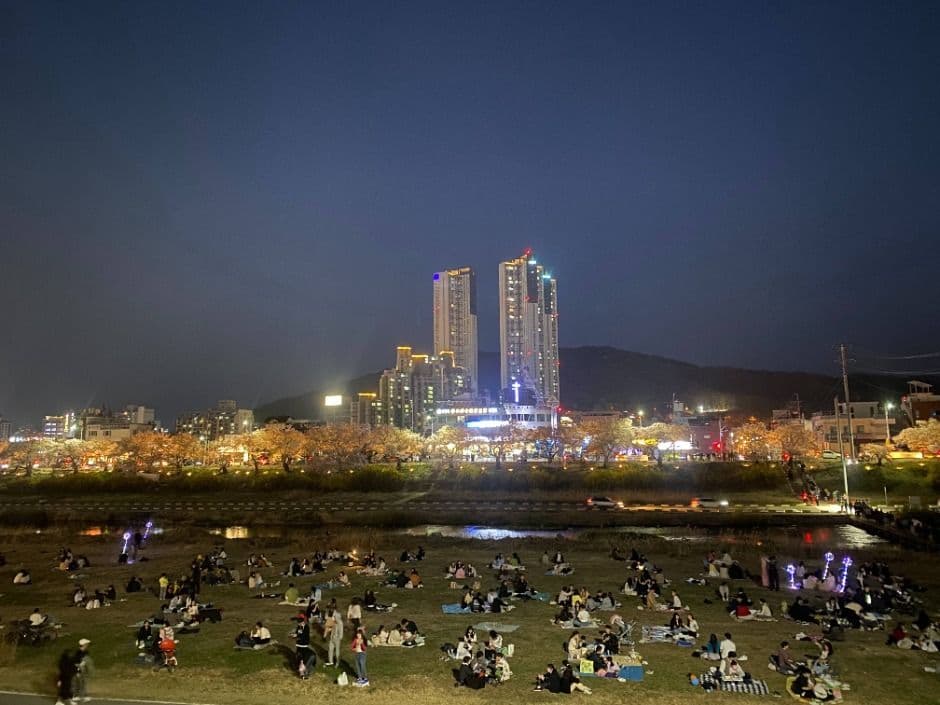 2025 벚꽃과 함께하는 청주 푸드트럭 축제 3