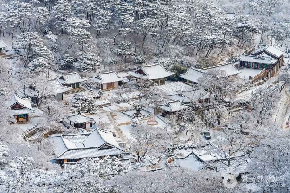 Ganghwa Jeondeungsa Temple (강화 전등사)