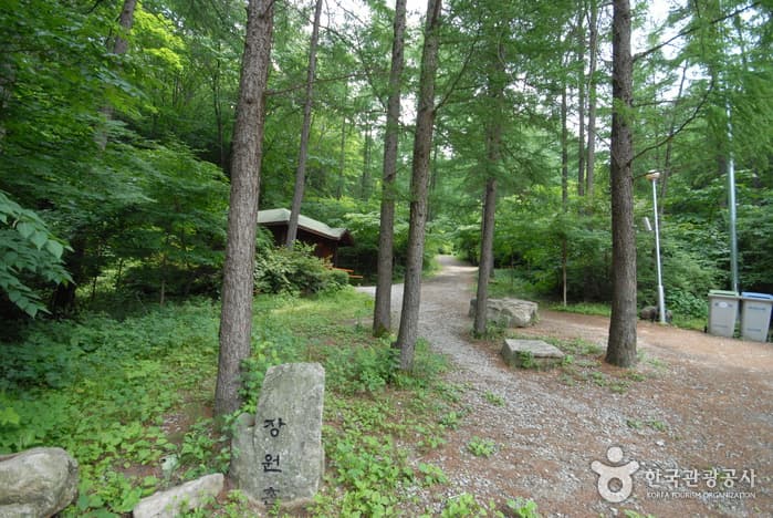 조령산자연휴양림_10