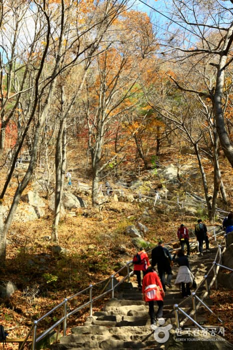 팔공산도립공원(등산로)_4