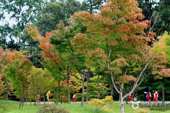 물향기수목원25