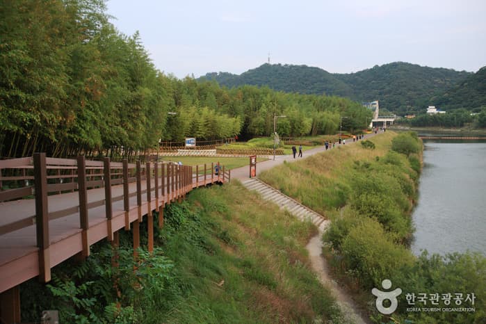 울산광역시_남구_태화강대공원_053