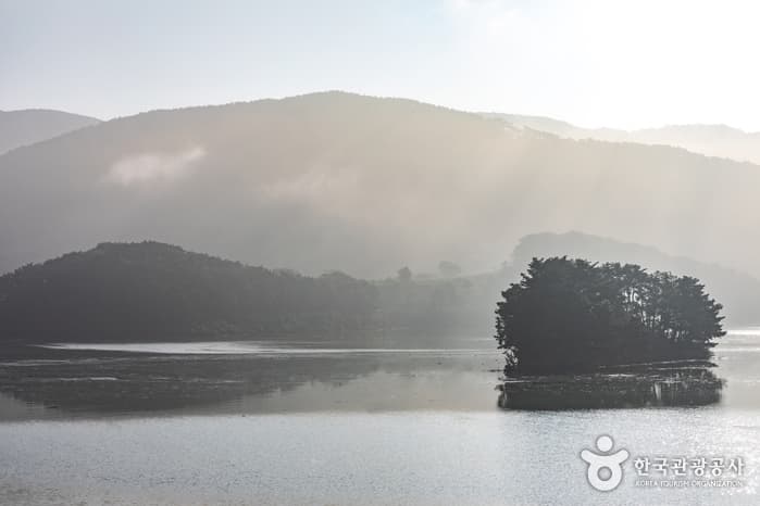 전북_정읍_옥정호(물안개길)07