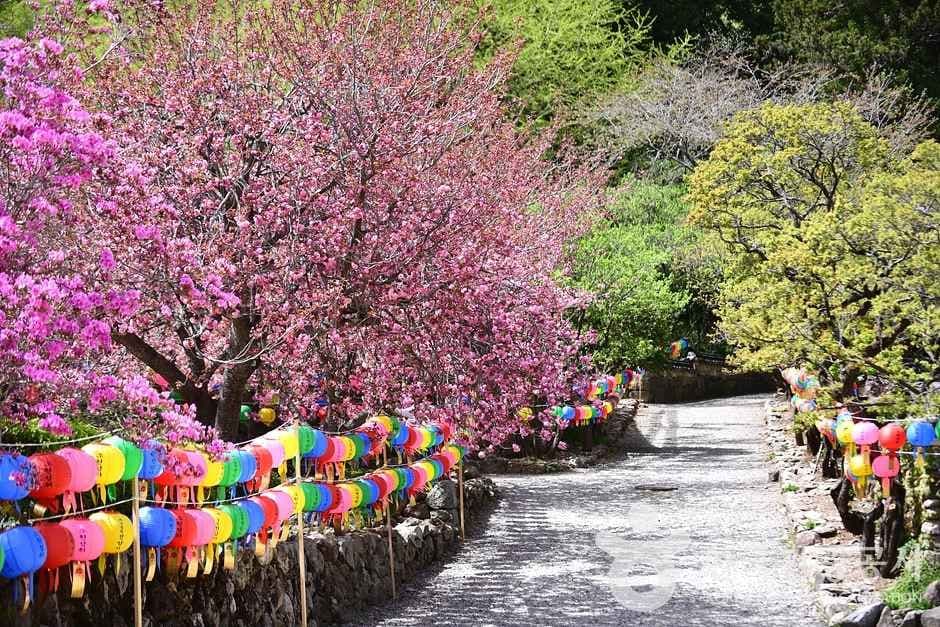 조계산도립공원 (18)