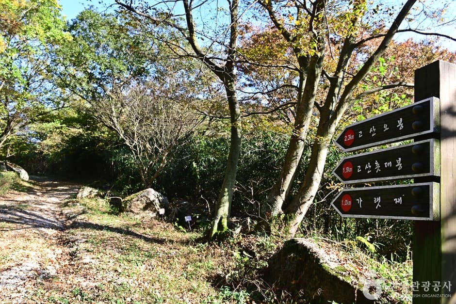 전북_고창_고산 (10)