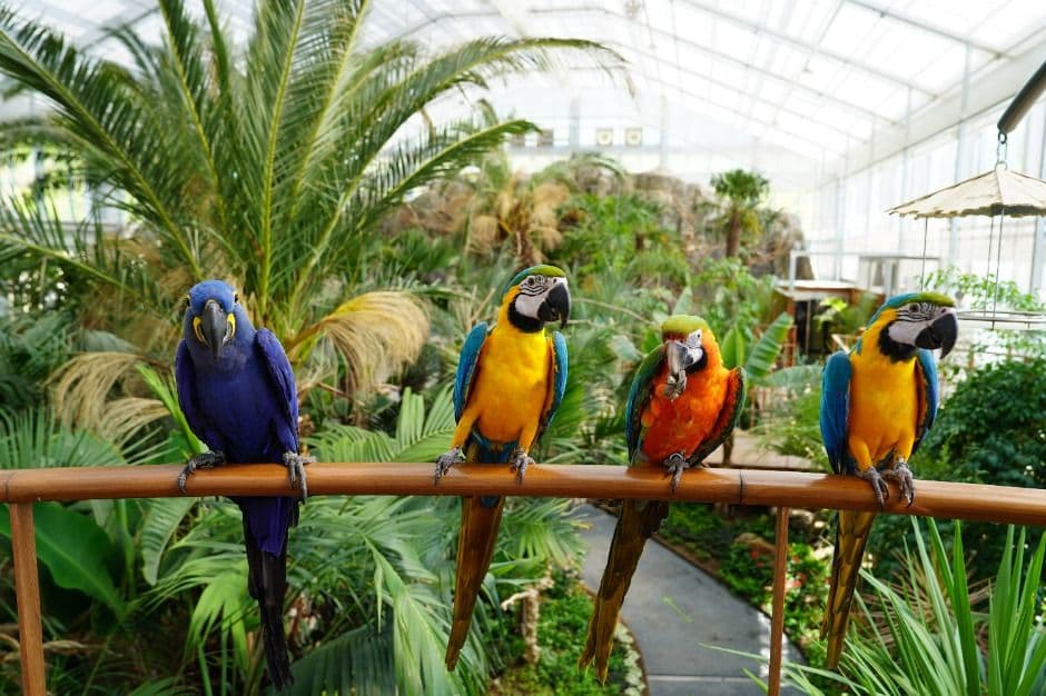 가평_가평베고니아새정원 (3)