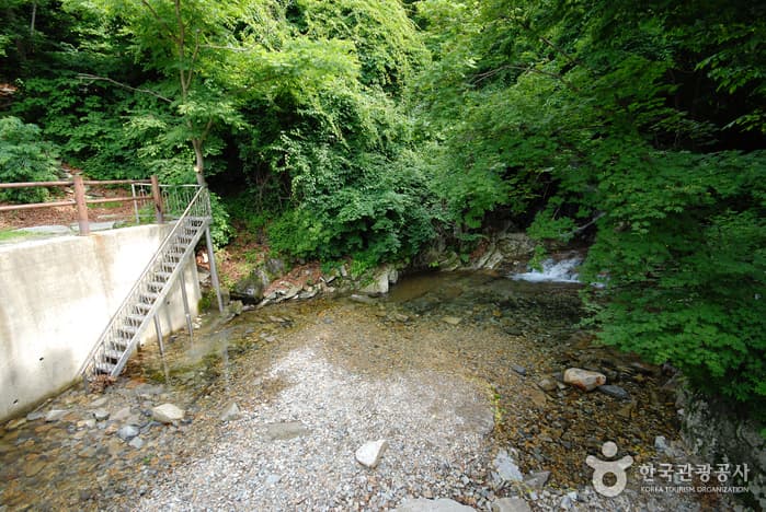 운문산자연휴양림_03