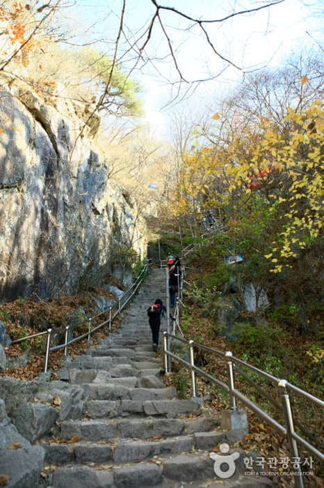 팔공산도립공원(등산로)_5