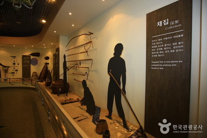 속초시립박물관_13