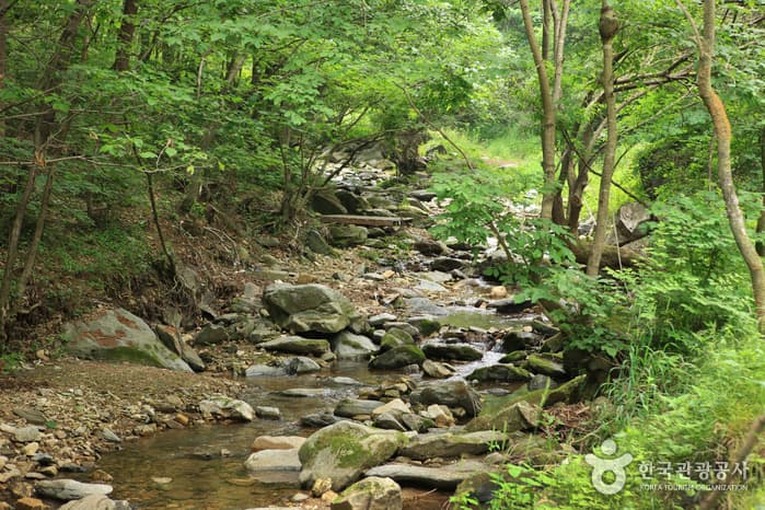 충청북도_진천군_연곡계곡_002