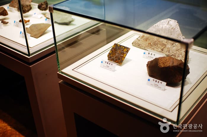 대전_지질 공부가 신나요! 대전 지질박물관11