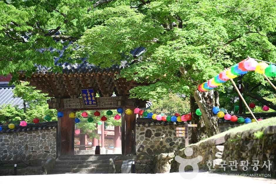 조계산도립공원 (19)